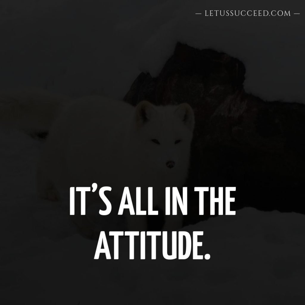 It’s all in the attitude